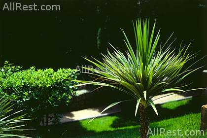 Apartments Lanterna Rabac 6